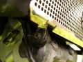 Osłona chłodnicy V-Strom 1000